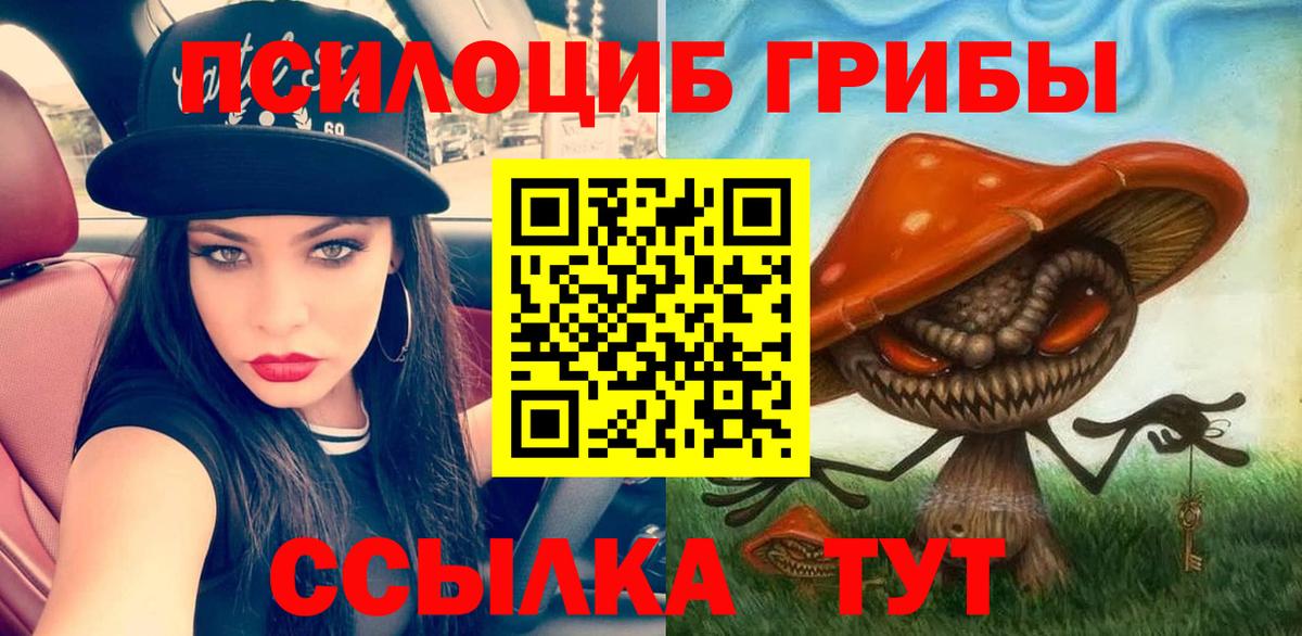 Псилоцибиновые грибы GOLDEN TEACHER  Вход с VPN  Кимры 