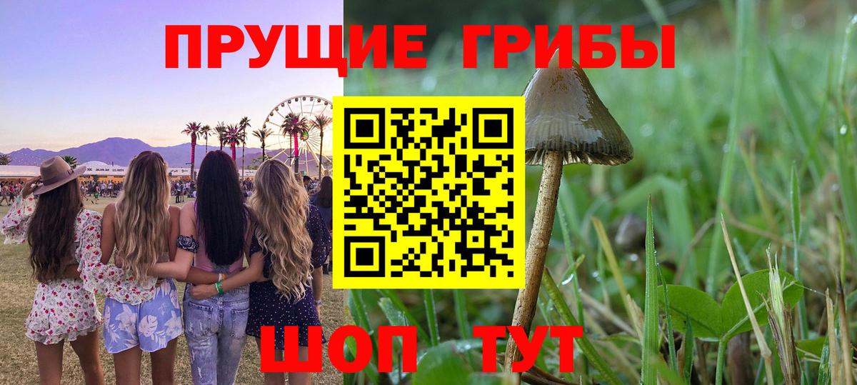Галлюциногенные грибы ЛСД Кимры